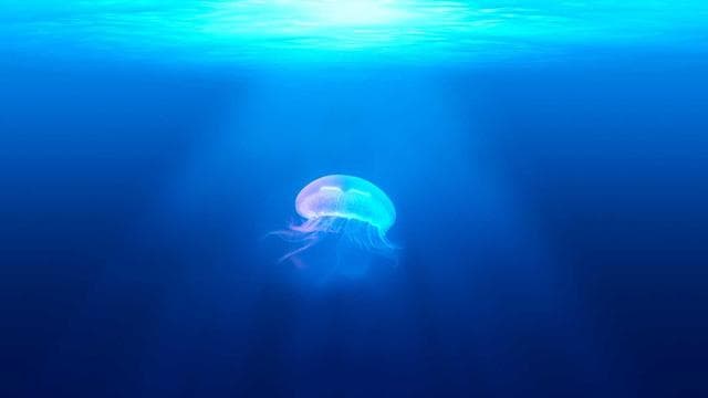 ニューハーフ女王様の逆アナル調教 第3章 サンプル画像 4