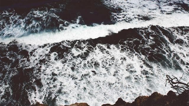 シーメール人妻の秘密 昼下がりのドラマ サンプル画像 8